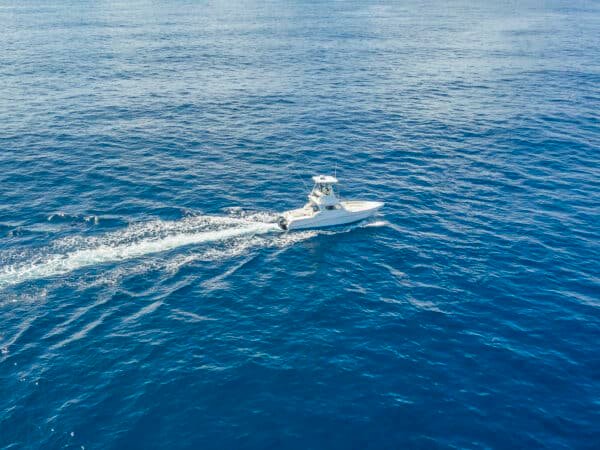 Full Day Mahé Guided Fly Fishing