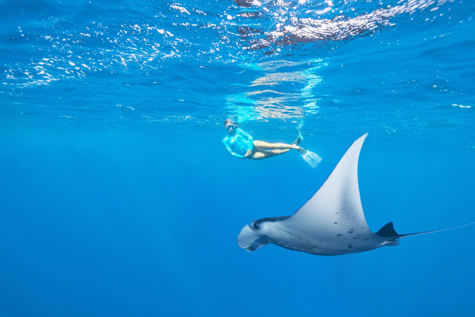 BlueSafari-alphonse-snorkelling-33a-AntonyGrote